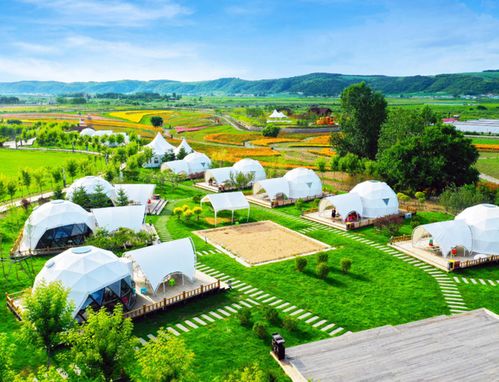 到龙井不去这里，后悔一整个秋天 狮峰山徒步之旅